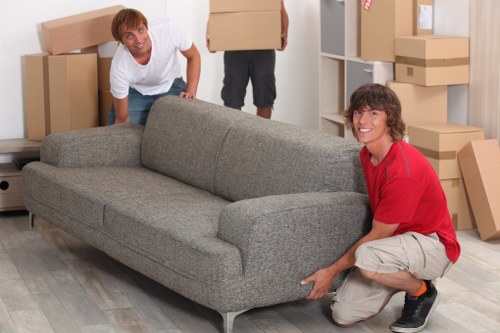Selection of sturdy moving boxes and packing materials
