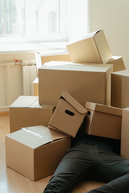 A young woman sitting cross-legged on a wooden floor surrounded by packed cardboard boxes with black and red labels, some sealed with red tape, during a home relocation process. She is smiling and tossing foam packing peanuts into the air, with several peanuts also falling around her. The boxes vary in size and are stacked against a blue and grey textured wall, indicating an interior setting prepared for a move. She is wearing casual clothing, including a white top and black sneakers, and appears to be in a preparation stage for a moving service offered by Man and Van Aldersbrook. A cardboard box sitting on her lap has a 'Fragile' sticker. A glimpse of a white appliance or furniture piece is visible on the left, and part of a potted plant can be seen on the right, suggesting an organized packing environment in readiness for furniture transport or house removals as part of the moving process.